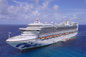 A cruise liner at Port Canaveral.